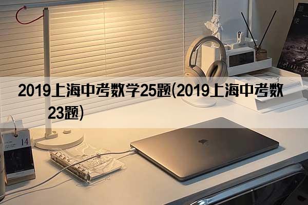 2019上海中考数学25题(2019上海中考数学23题)