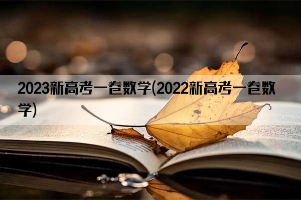 2023新高考一卷数学(2022新高考一卷数学)